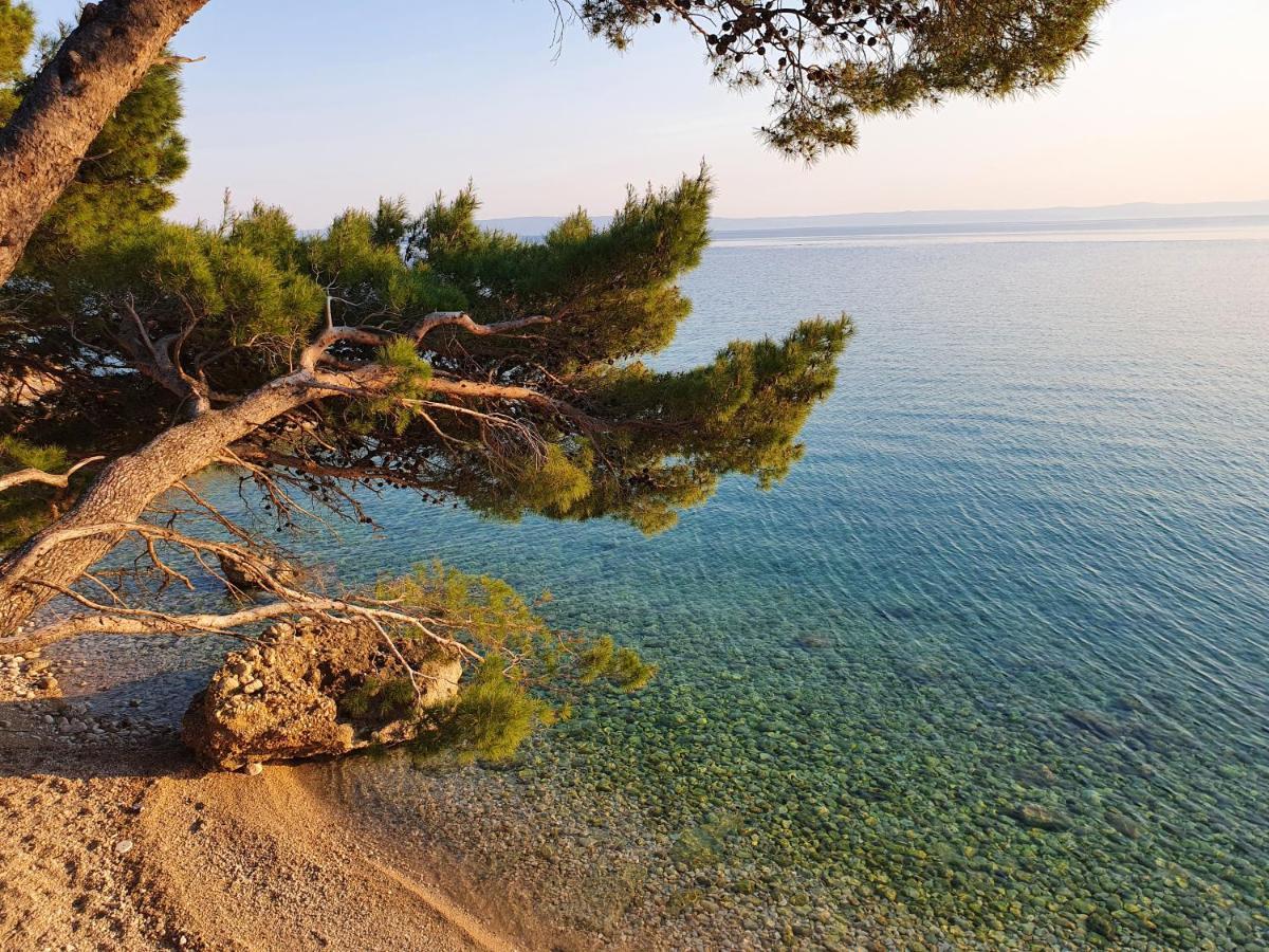Villa La Vita Baška Voda Exterior foto